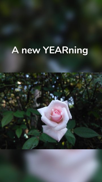 A new YEARning