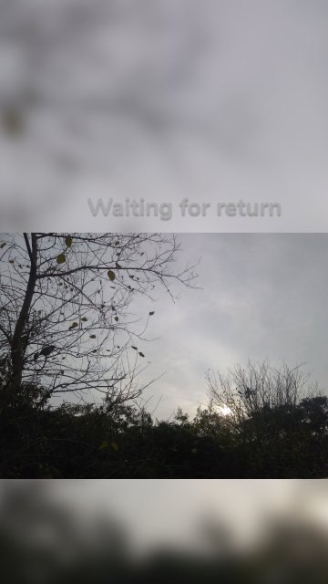 Waiting for return